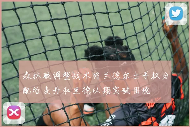 森林狼调整战术将兰德尔出手权分配给麦丹和里德以期突破困境