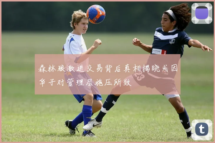 森林狼激进交易背后真相揭晓或因华子对管理层施压所致